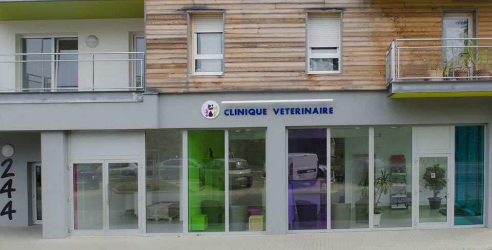 Clinique vétérinaire des Romains